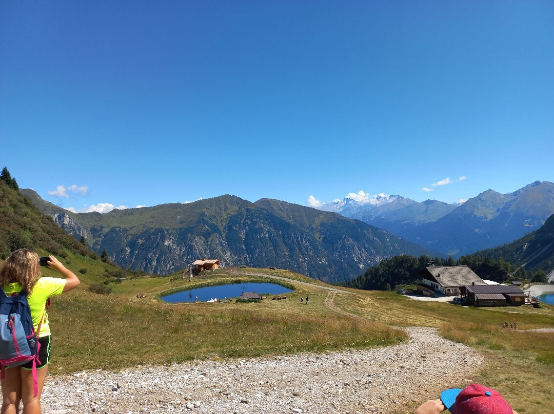 Malga Edelweisshütte