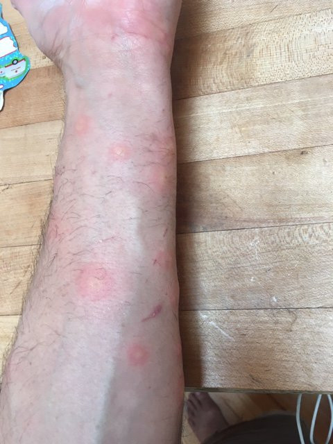 Dublin House Motel主图