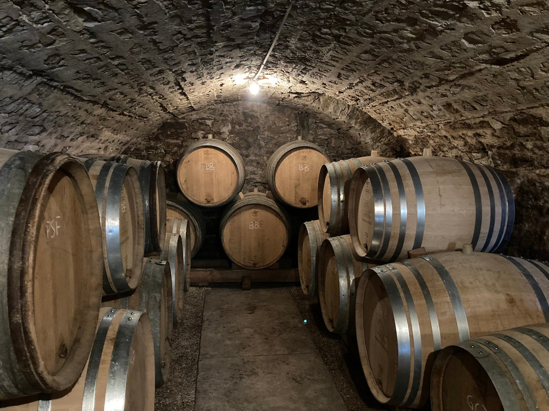 Domaine de la Luolle景点图片
