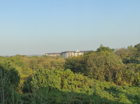 八里湖公园-九江县必去景点