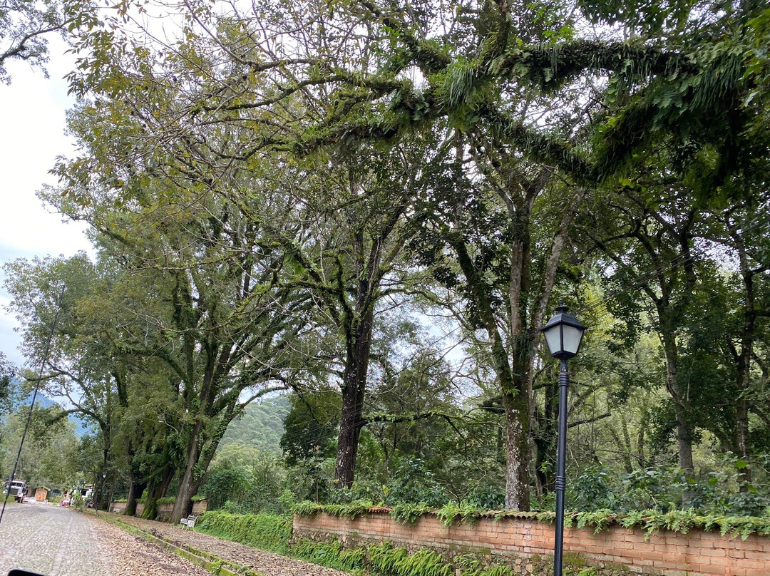 Hotel Hacienda Caudillos主图