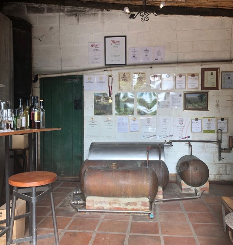 Upland Organic Wine-惠灵顿必去景点