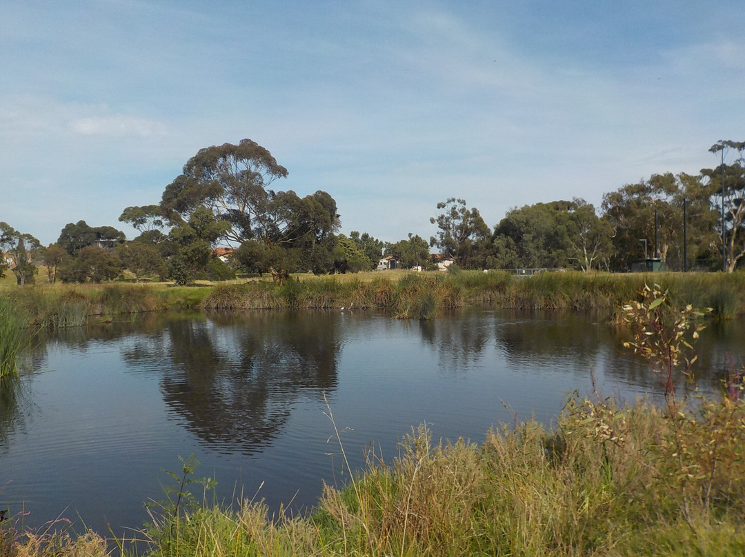 Elsternwick Park Nature Reserve景点图片