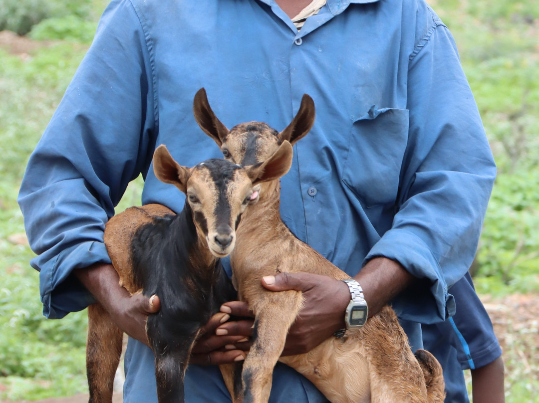 Macrobia Expeditions-Hargeysa必去景点