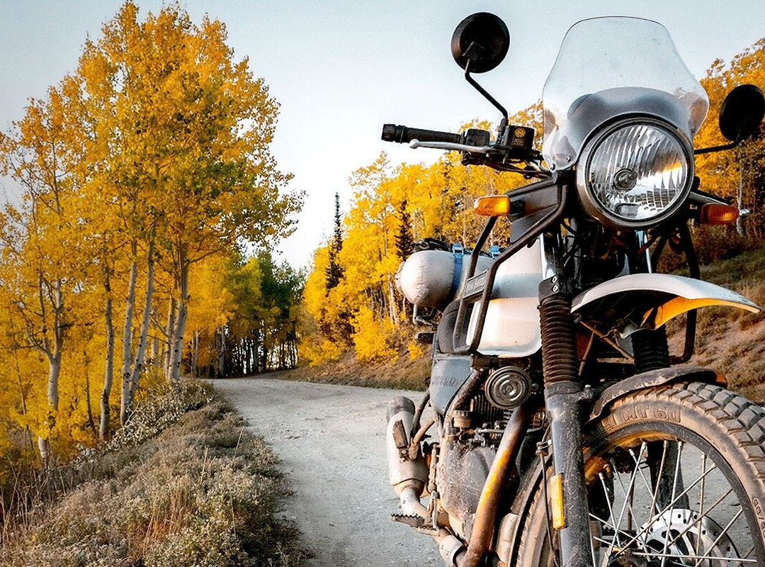 Motorcycle Tours by Wild Triumph景点图片