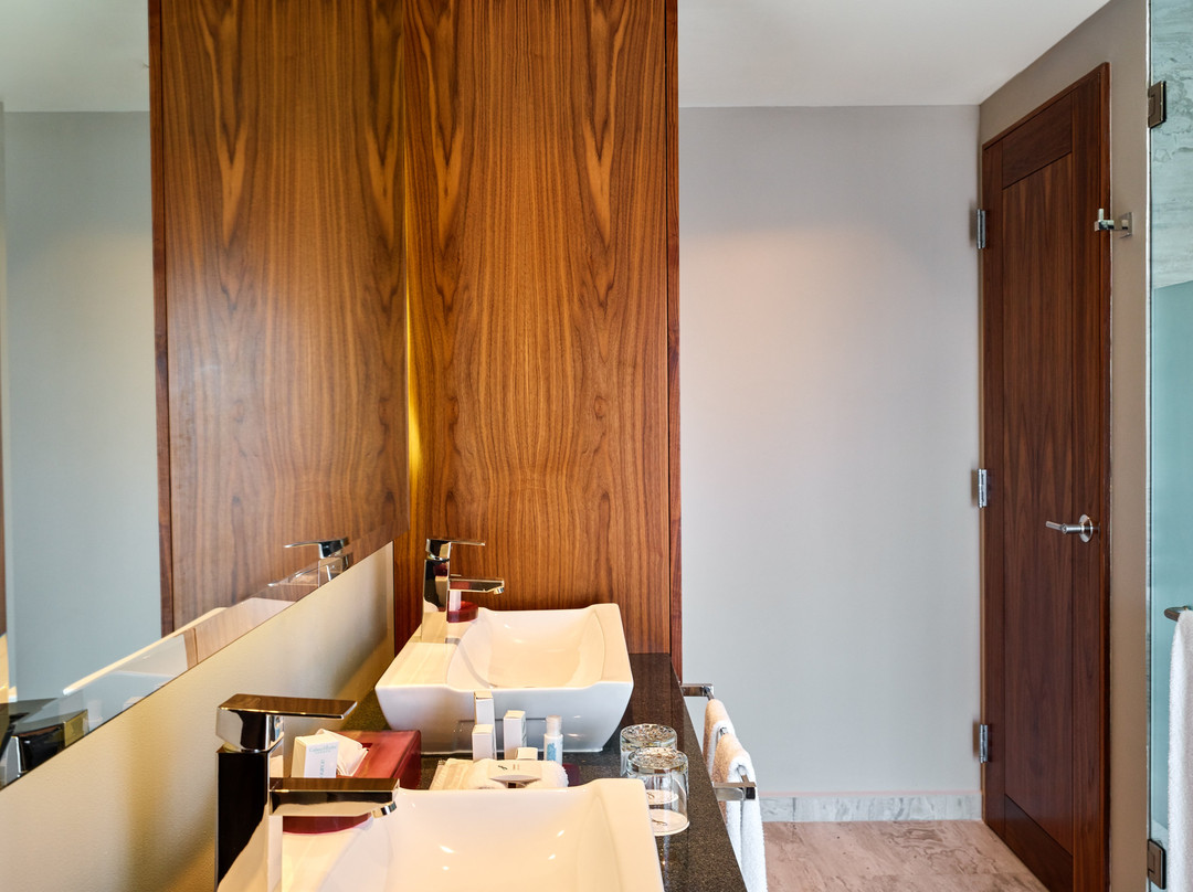 Fiesta Americana Mexico Satelite主图