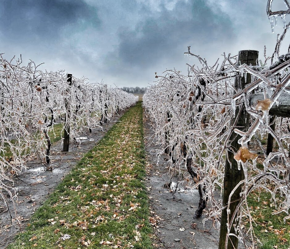 Soldier Creek Winery-Fort Dodge必去景点