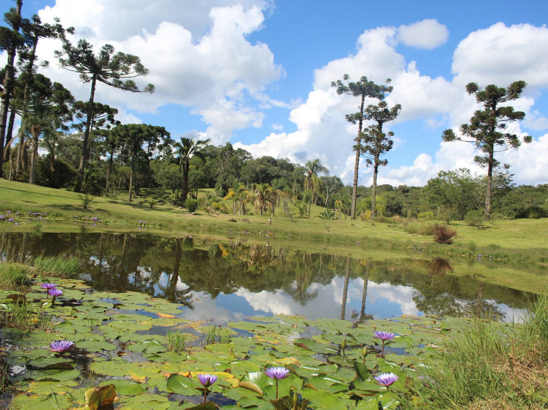 Jardim Botânico de Faxinal do Céu景点图片