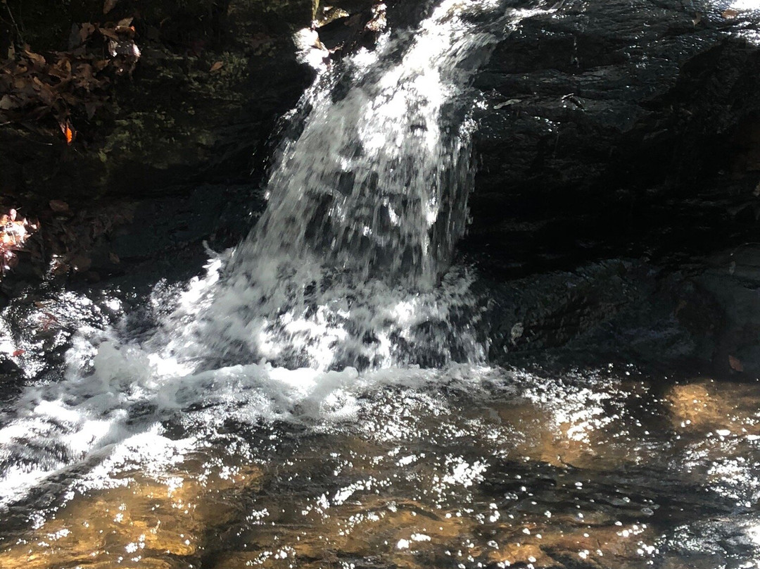Pine Mountain Trail-Pine Mountain必去景点