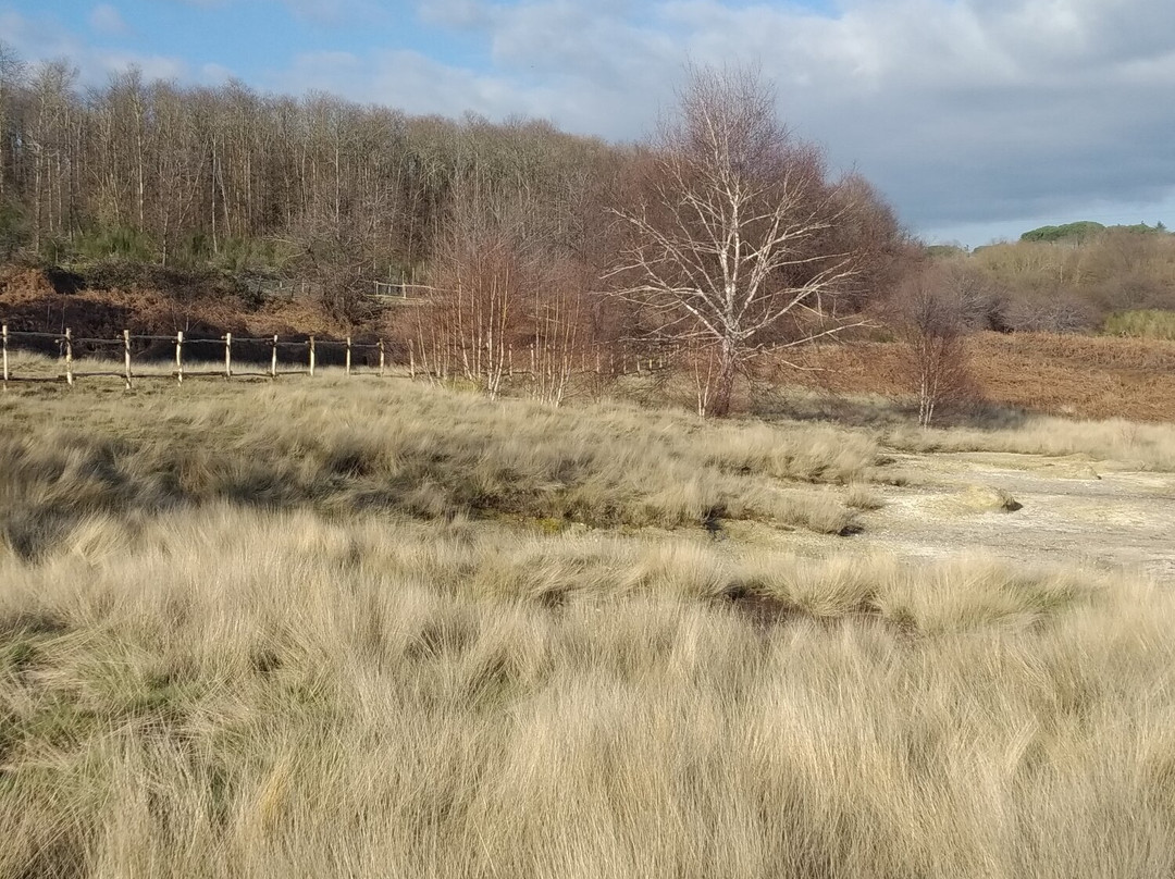 Monumento Naturale Caldara di Manziana-Manziana必去景点