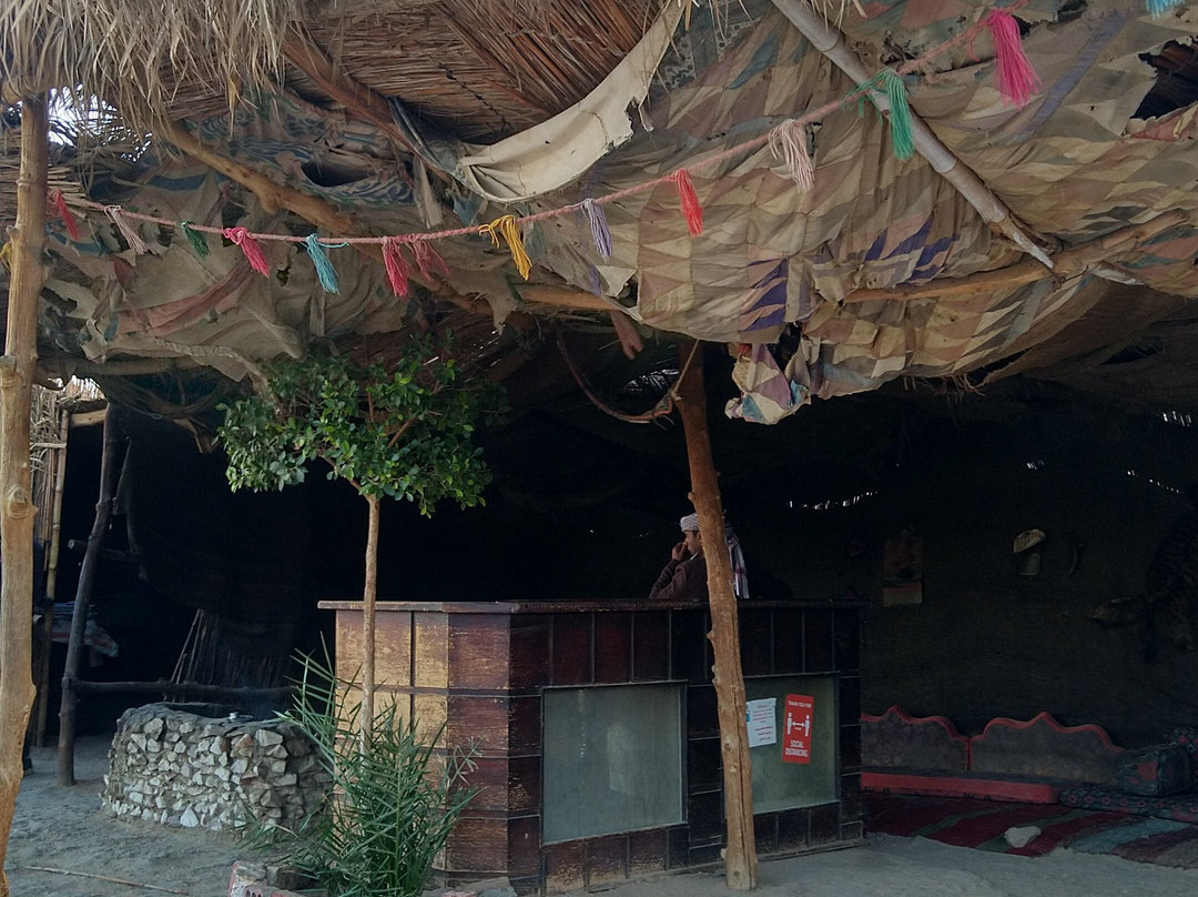 Eastern (Arabian) Desert-赫尔格达必去景点