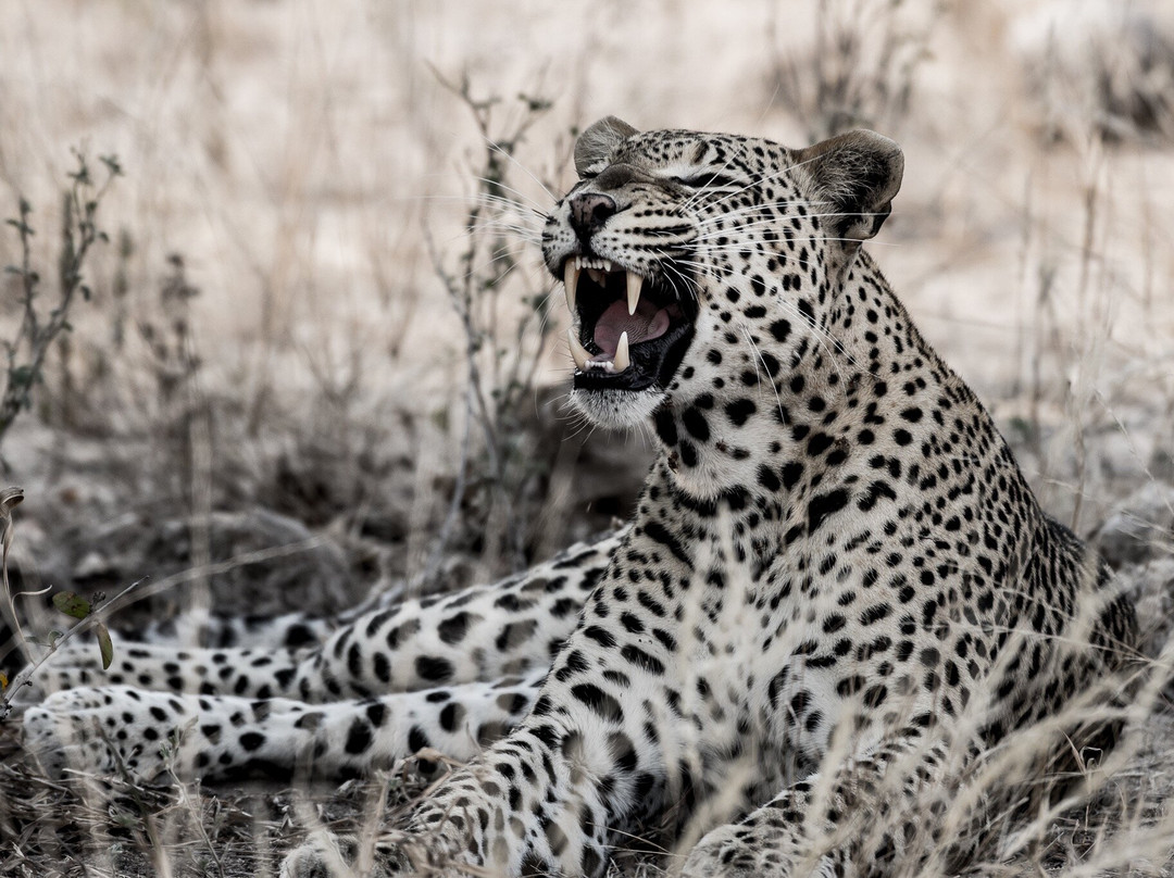 Jemu Expeditions-南由基必去景点