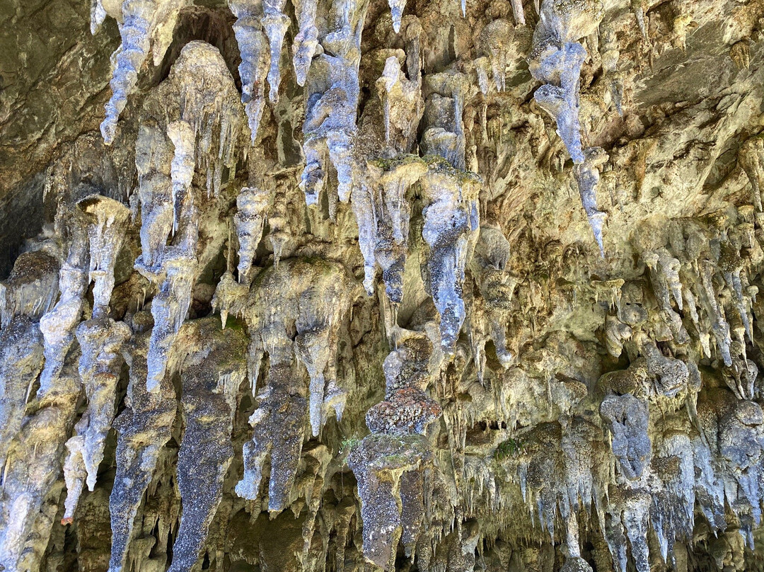 Rawhiti Cave Track景点图片