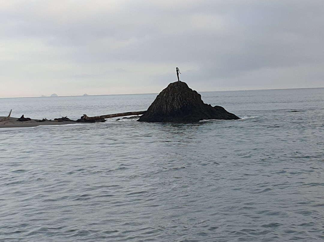 Whakatane River Walk景点图片