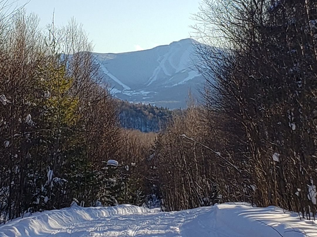 Clear River Inn主图