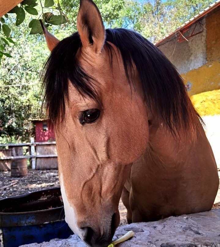 Rancho El Reencuentro景点图片