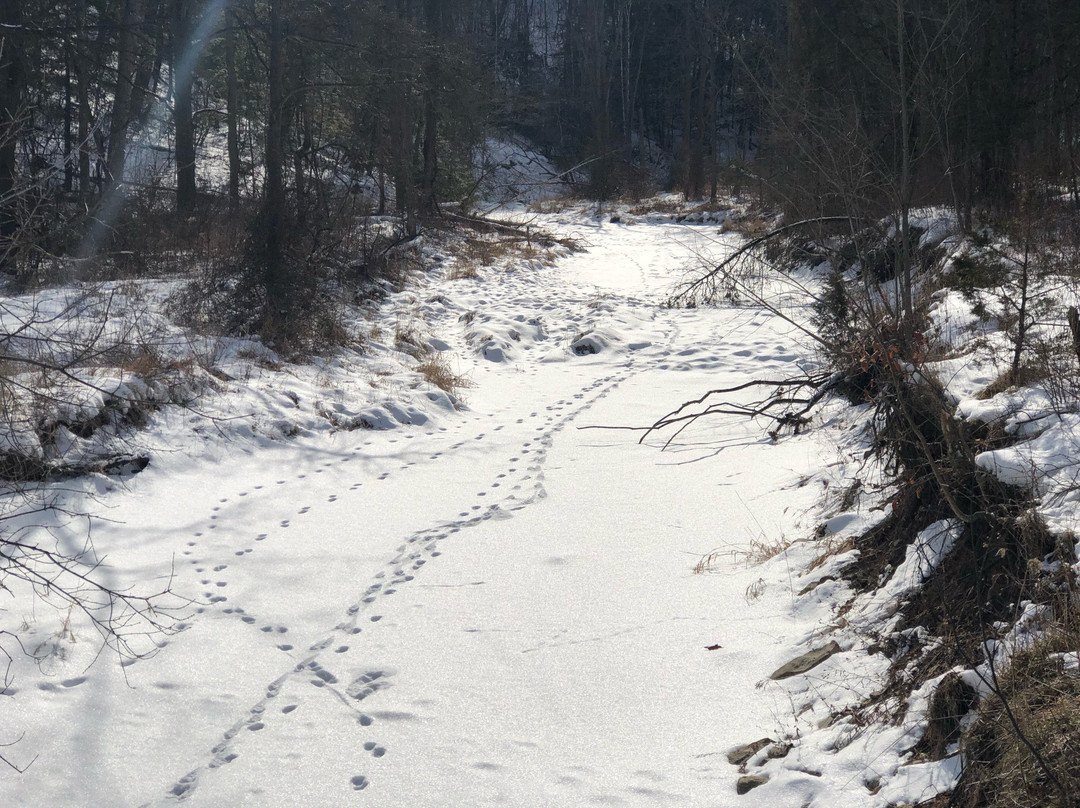 Rockway Conservation Area-圣凯瑟琳斯必去景点
