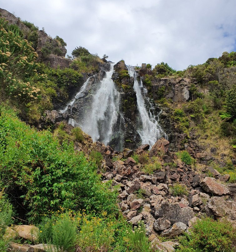 Waratah Falls-Waratah必去景点