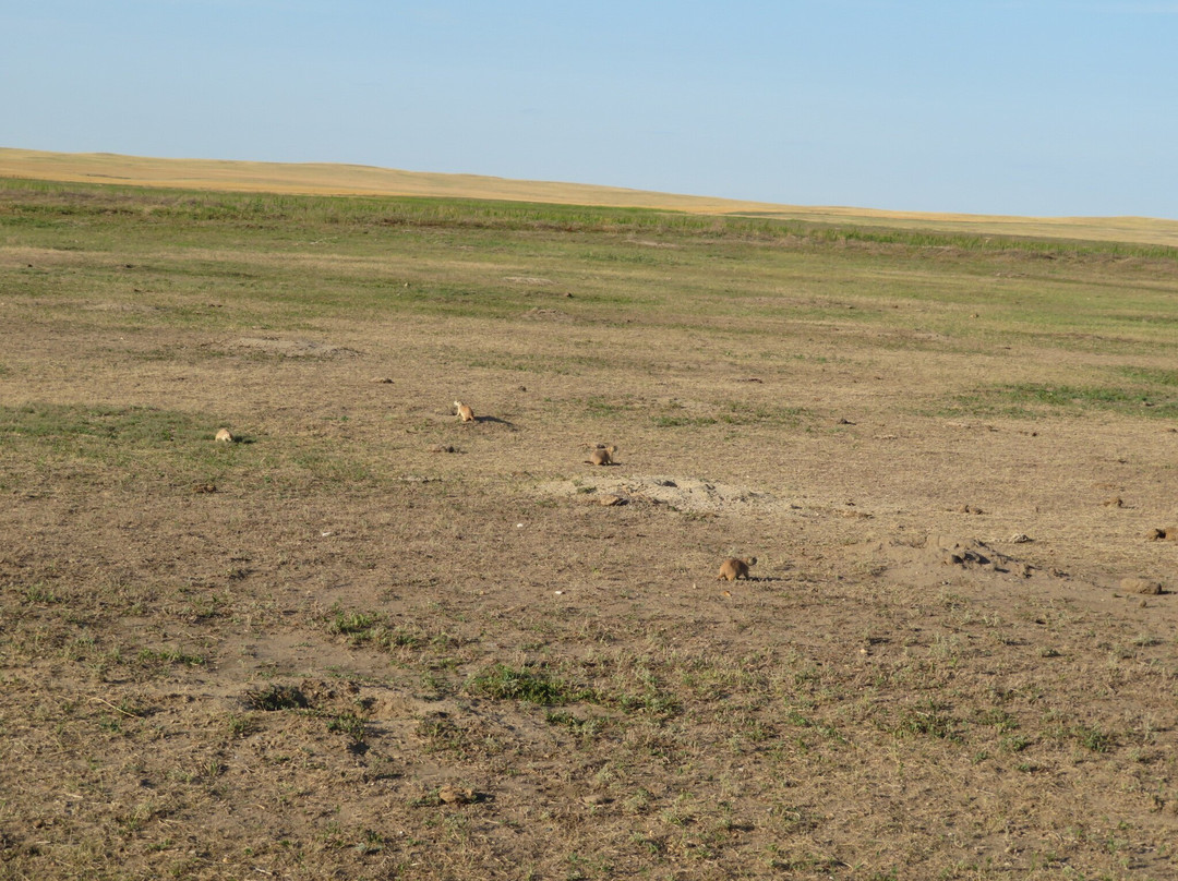 Sage Creek Wilderness Area-恶地国家公园必去景点