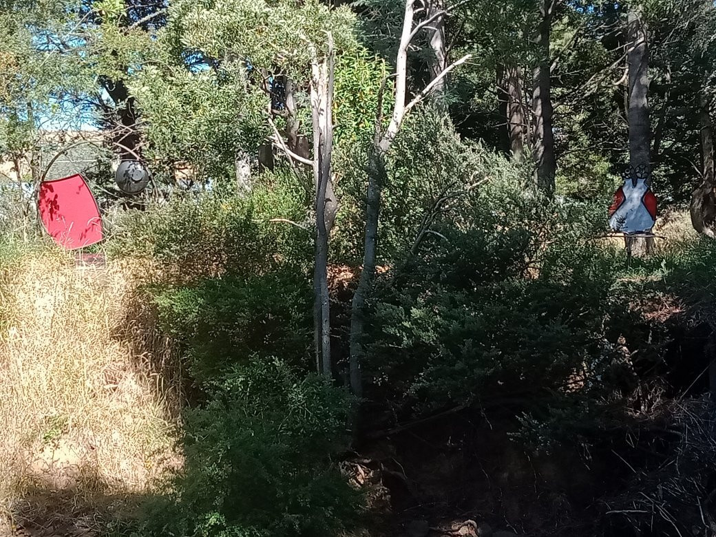 Platypus Walk-Geeveston必去景点