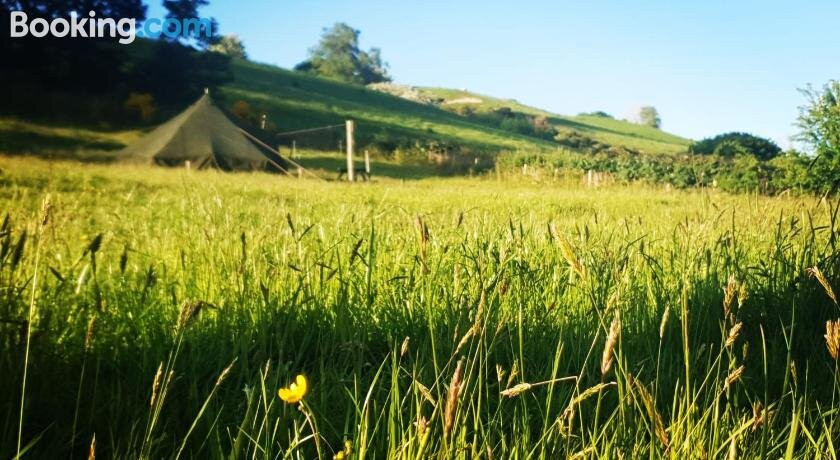 Forever Young Forest at Escape Camping