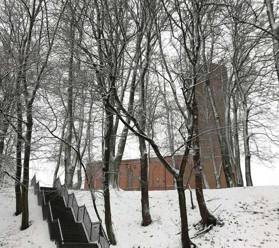 Czluchow Regional Museum景点图片