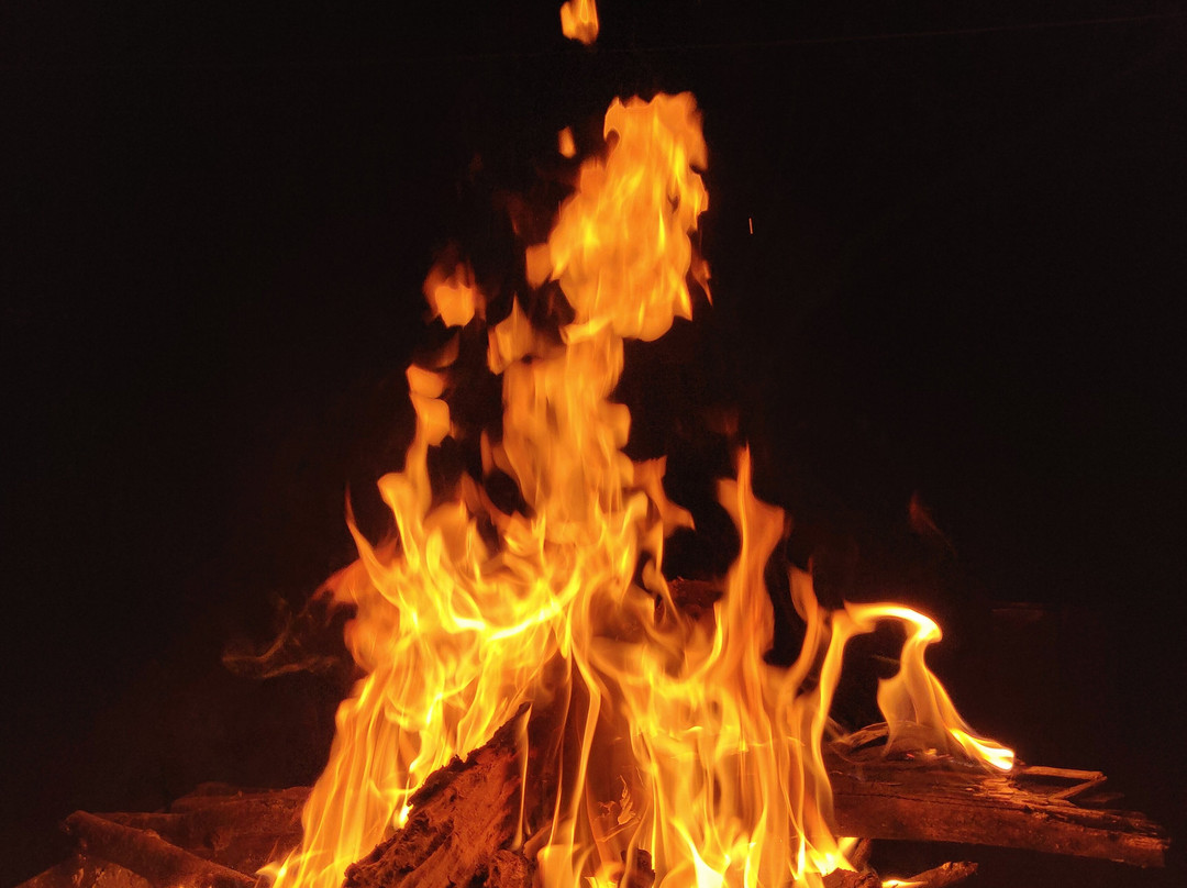 Bird of Paradise Homestay主图