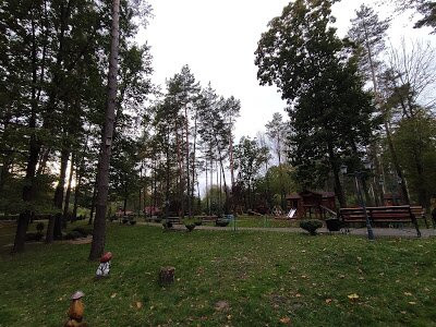 Forest Museum-Kostopil必去景点