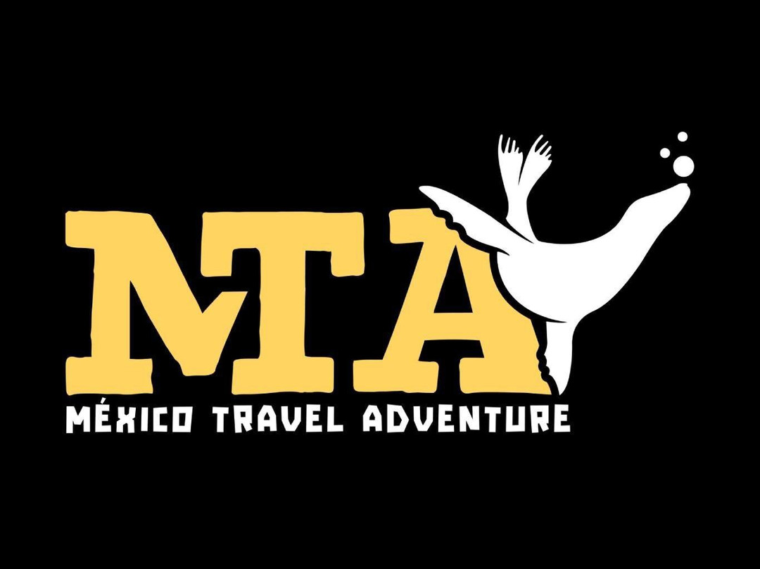 Mexico Travel Adventure