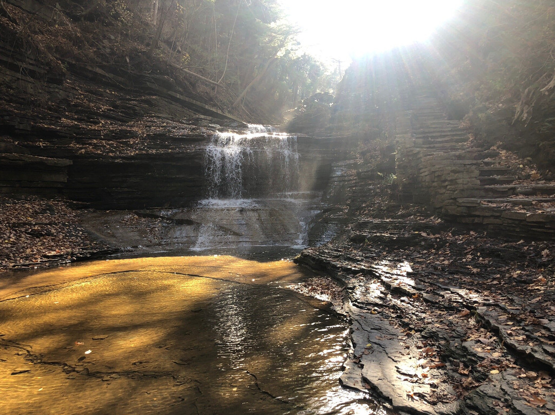 塔楼温泉度假村主图