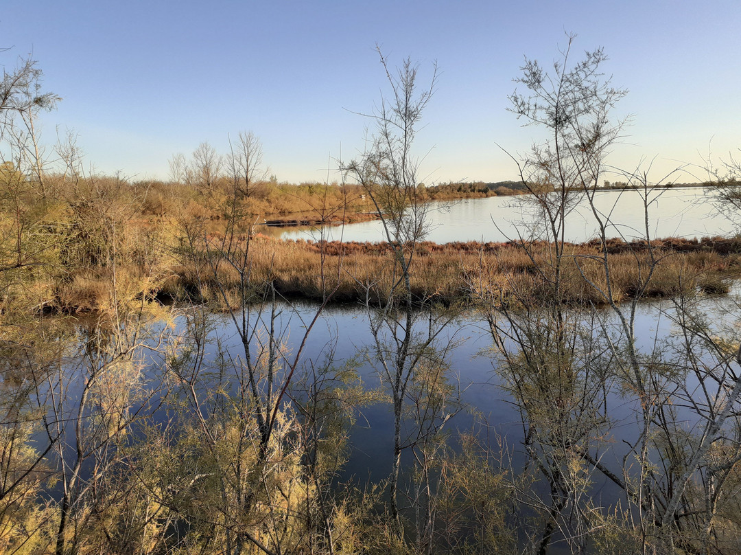 Riserva Naturale Valle Cavanata -Fossalon必去景点