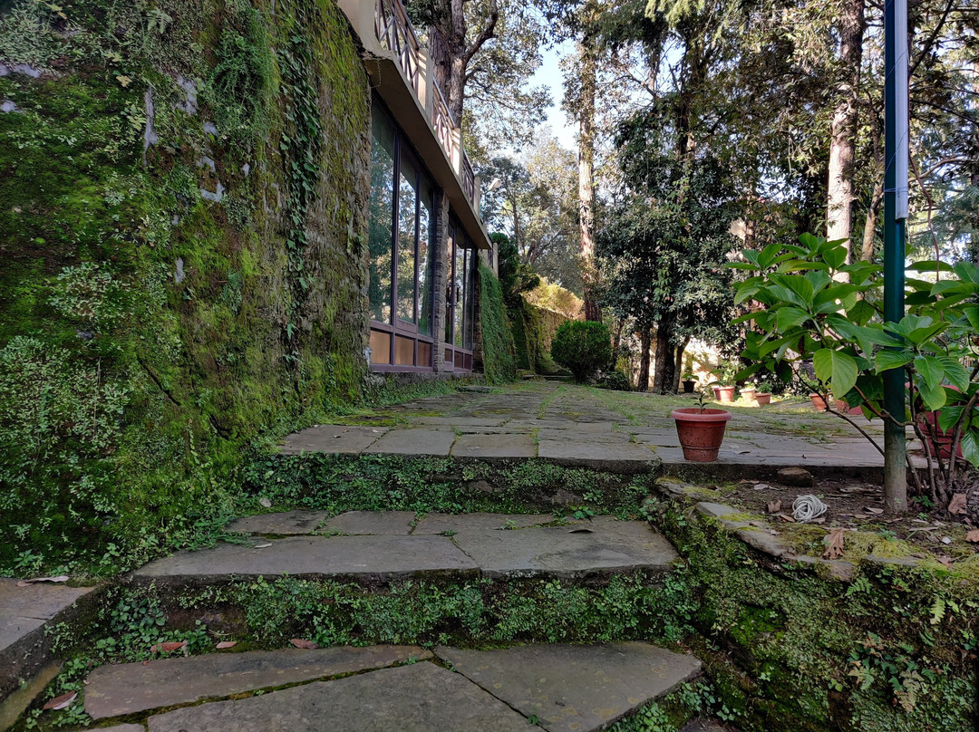 Kasaar Jungle Resort主图