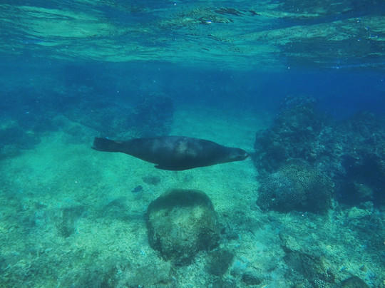 MeXplore-拉巴斯必去景点