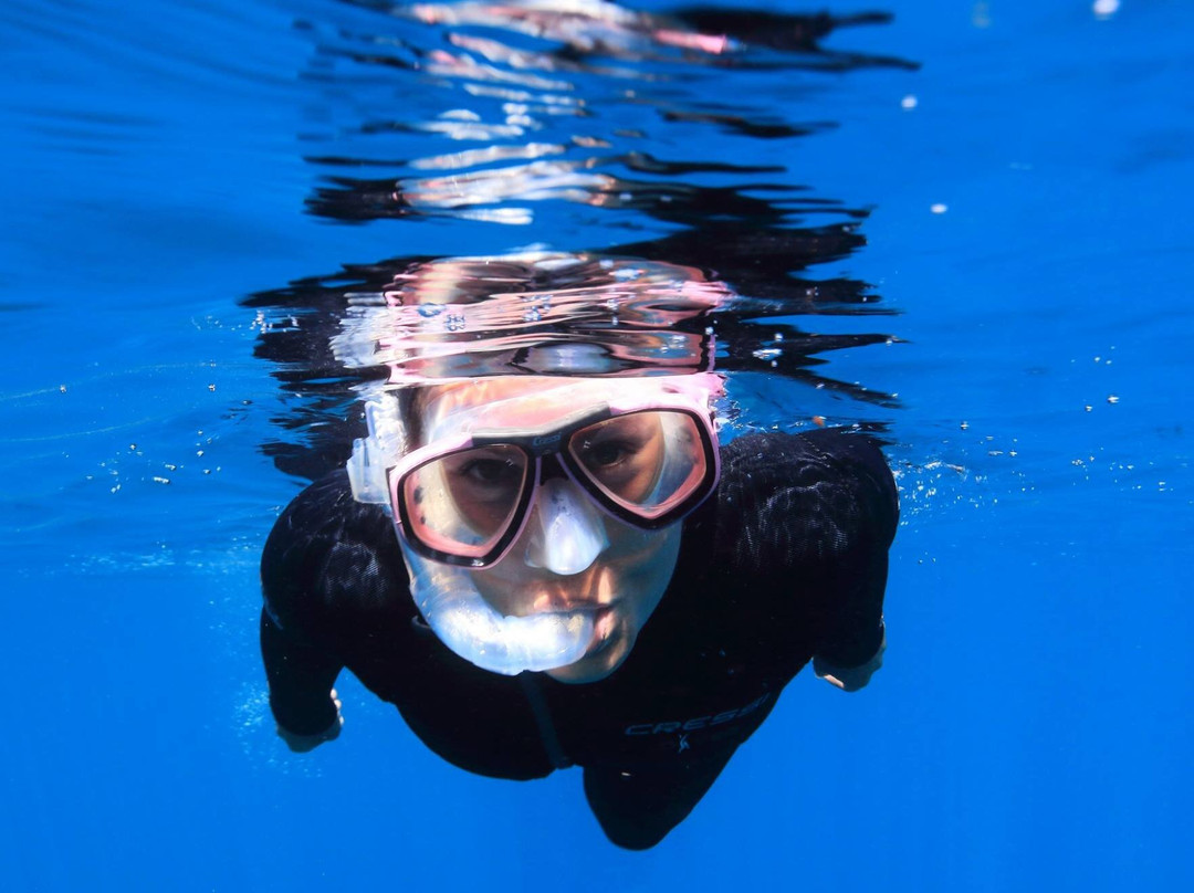 Abyss Garden-拉西奥塔必去景点