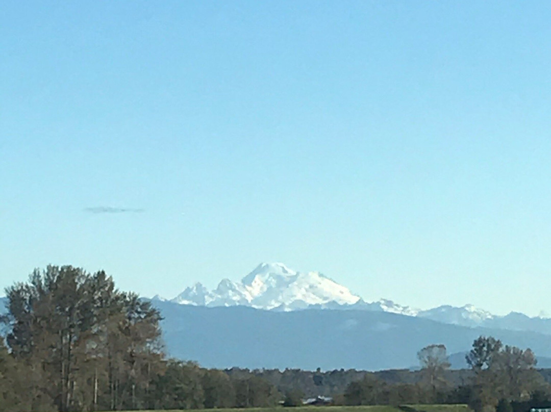 The Heron Inn & Day Spa主图