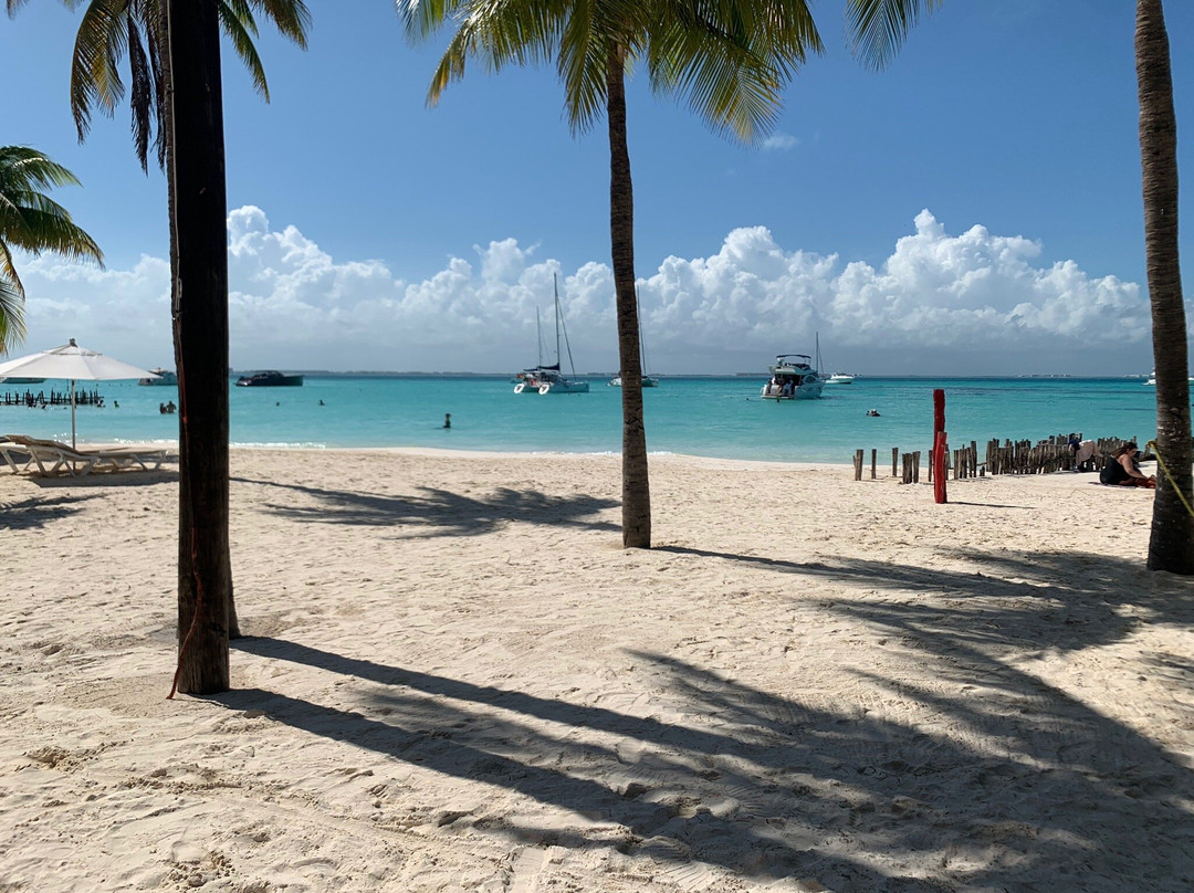 Playa Mujeres Trips and Tours景点图片