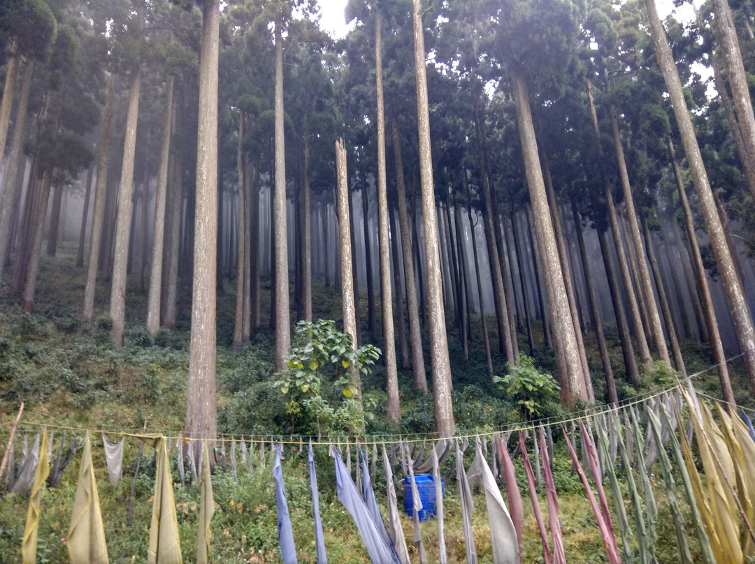 Everest Hut Homestay主图