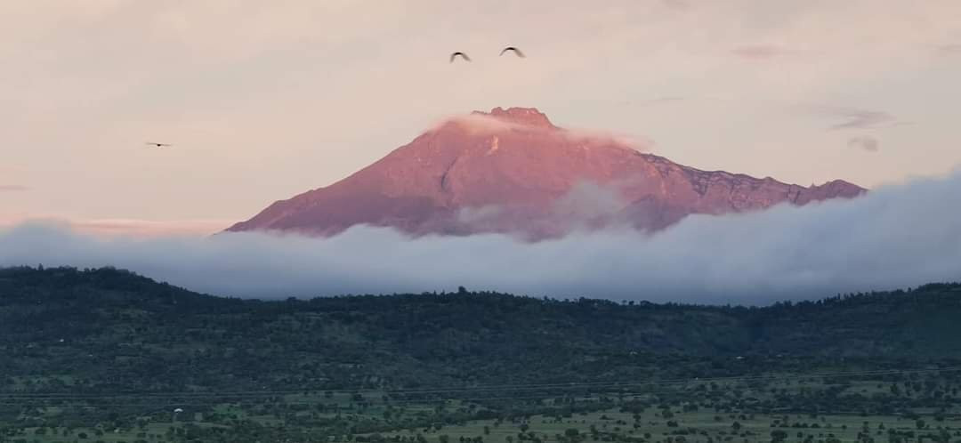 Panone Hotel Sakina主图