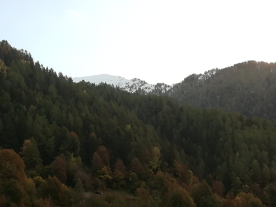 B&B Il Sorriso dei Nonni主图