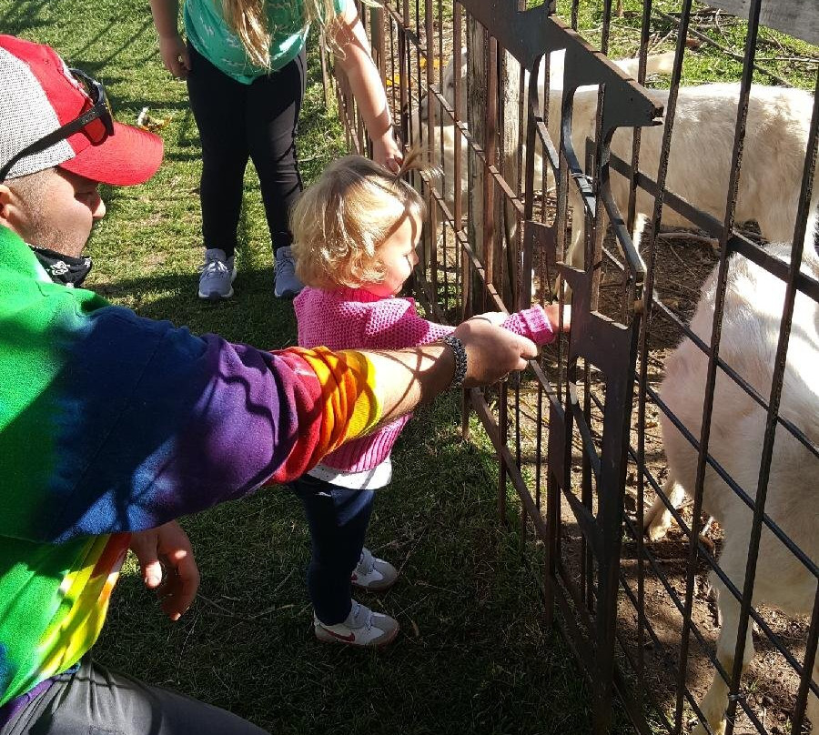 Lapacek’s Orchard-Poynette必去景点