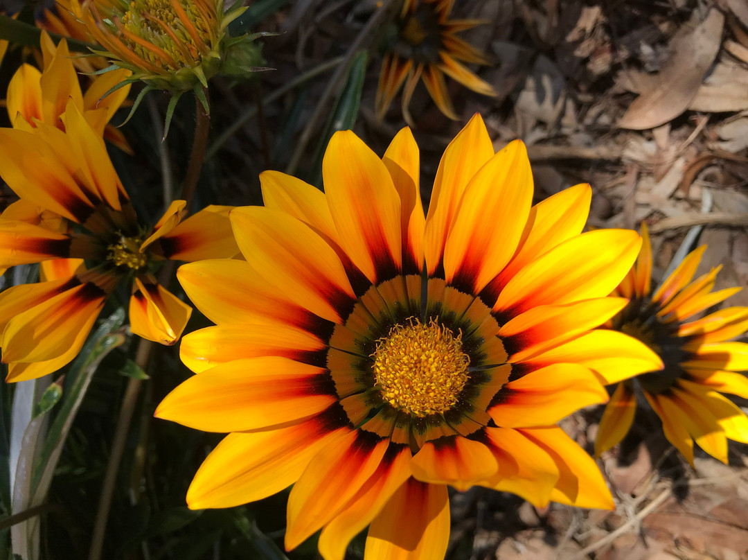 St James War Memorial-St James必去景点
