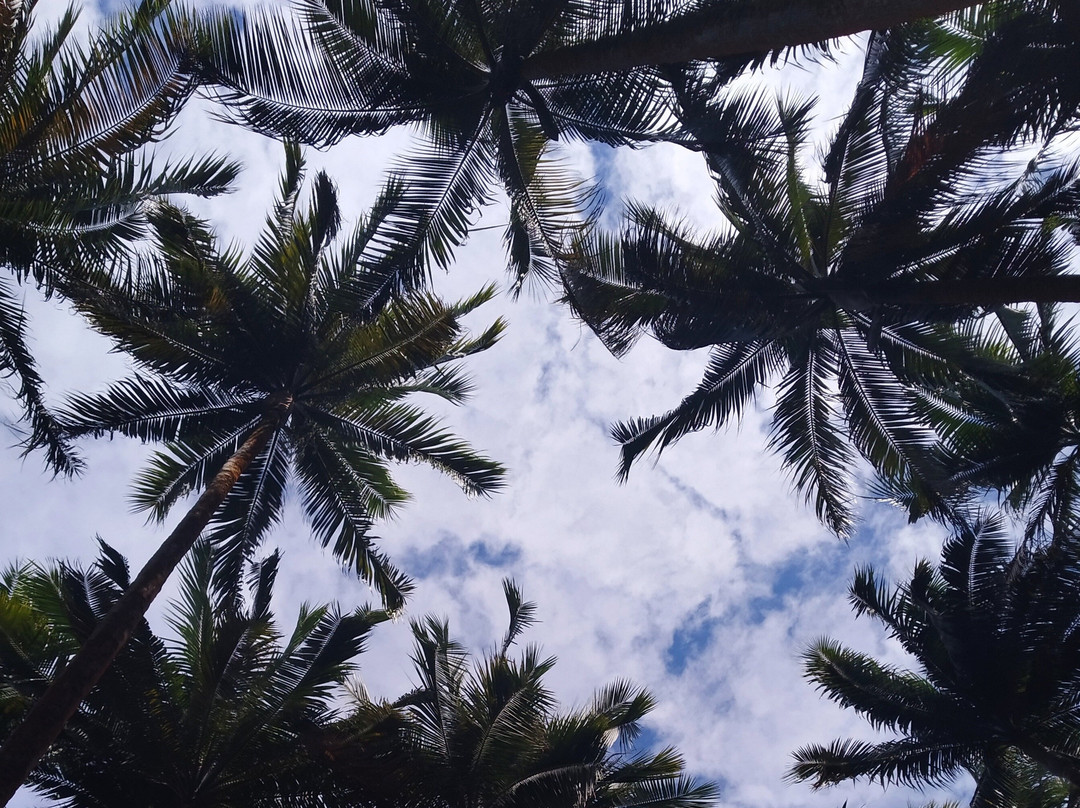 JP Le Voiturier 974-圣丹尼必去景点