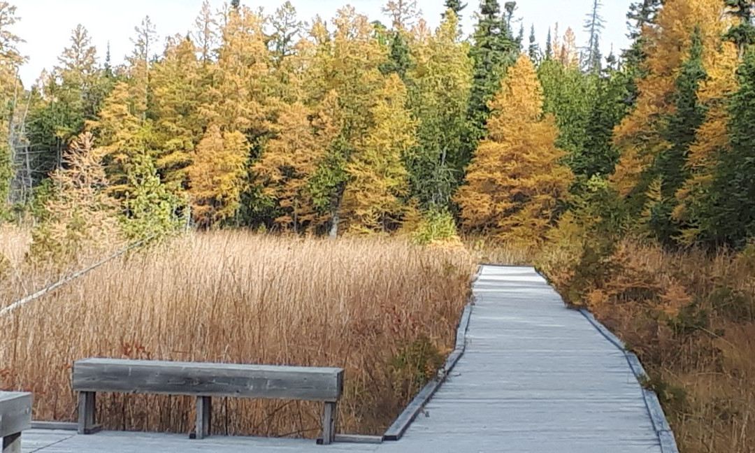 Brokenhead Wetland Interpretive Trail-Scanterbury必去景点