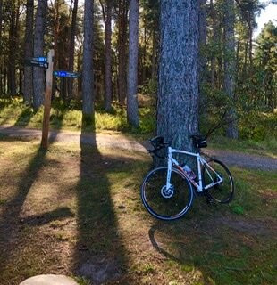 Tentsmuir Forest-Tayport必去景点