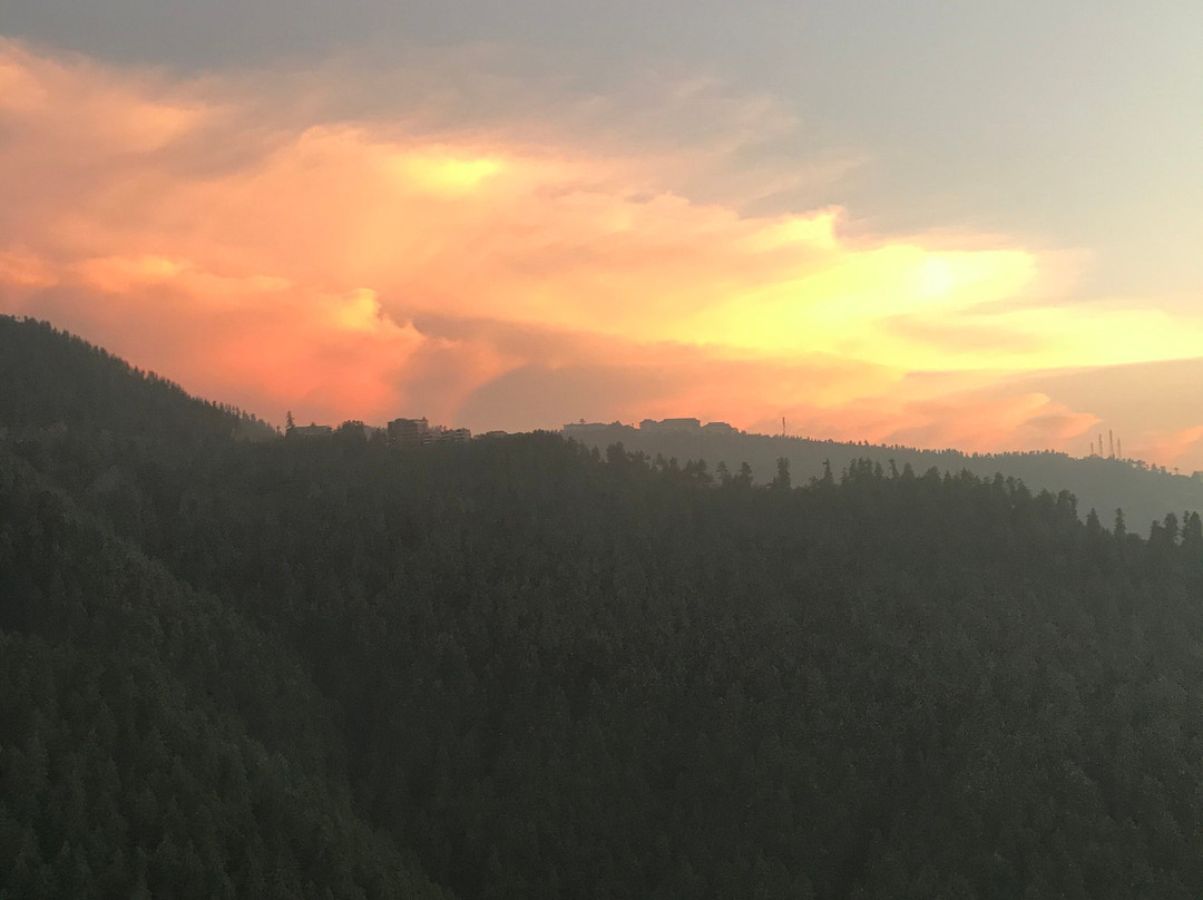 Zostel Homes Theog (Shimla)主图