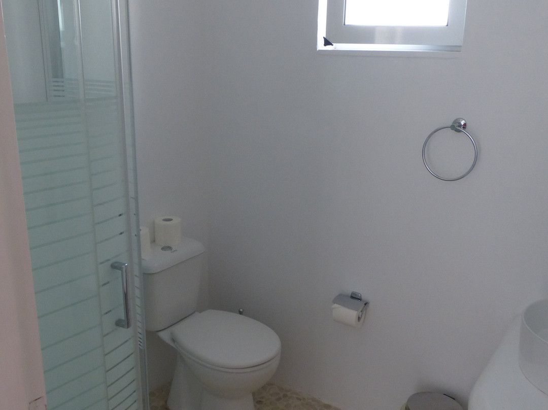 Blugreen Stegna主图