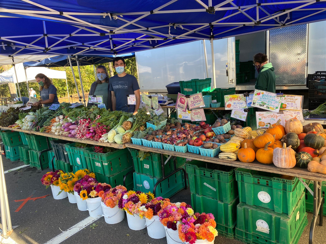 Westport Farmers Market-Westport必去景点