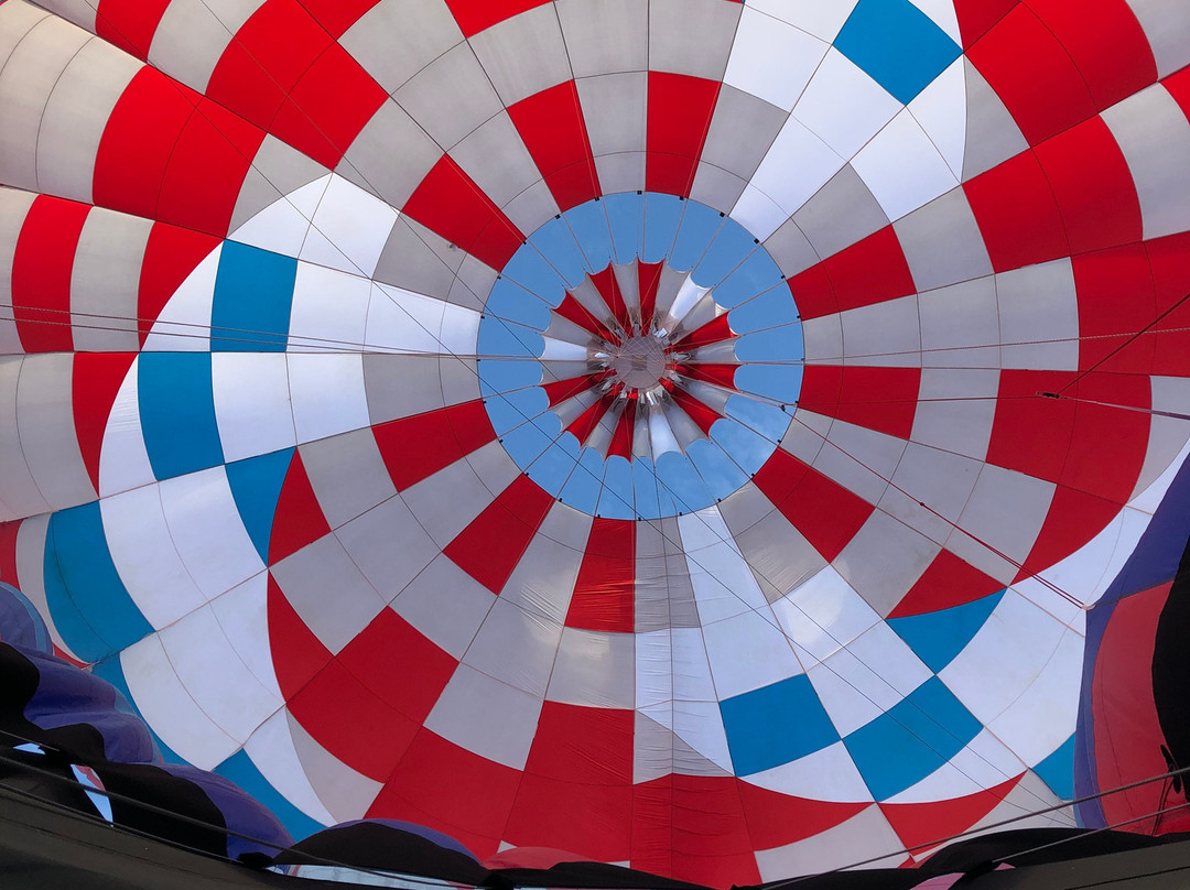 American Balloons-Lutz必去景点