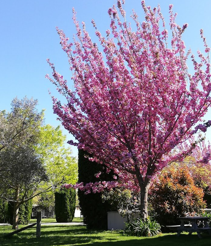 Hillsfield House Bed and Breakfast Marlborough主图