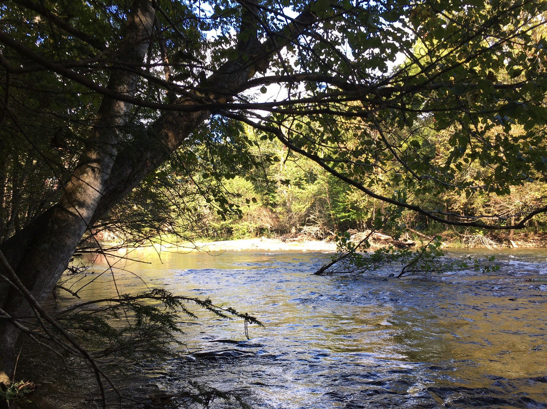 Oconaluftee River Trail景点图片